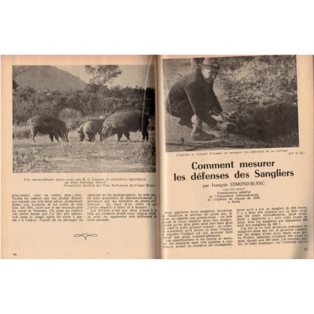 Les cahiers de chasse et de nature, Tony Burnand, année 1952 - récit de chasse, magazines chasseurs, animaux sauvages