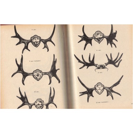 Les cahiers de chasse et de nature, Tony Burnand, année 1952 - récit de chasse, magazines chasseurs, animaux sauvages