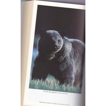 L'ours bleu, Lynn Schooler, photographe japonais Michio Hoshino,  2002 - ours d'Alaska, expédition Grand Nord,  animaux sauvages