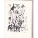 L'histoire d'un hibou Grand Duc -  Strix, die geschichte eins Uhus, Svend Fleuron