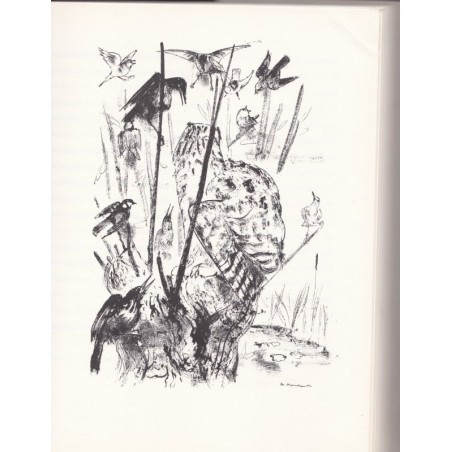 Strix, die geschichte eins Uhus, Svend Fleuron