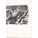 L'histoire d'un hibou Grand Duc -  Strix, die geschichte eins Uhus, Svend Fleuron