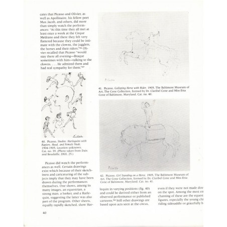 Catalogue Picasso The Saltimbanques 1980, National Gallery Washington, musées Etats-Unis, peintres espagnols, peinture abstraite