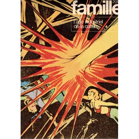 L'art industriel de la culture, Famille 2000, 1971 - art en 1970,  culture en 1970, publicité, médias