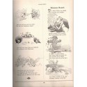Neues Wilhelm Busch Album mit 1500 Bildern - peintres allemands, illustrateurs, humour, Allemagne, Kunst