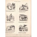 Neues Wilhelm Busch Album mit 1500 Bildern - peintres allemands, illustrateurs, humour, Allemagne, Kunst