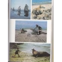 Vom Grizzlybär zur Brillenschlange, Bernhard Grzimek - Tiere, animaux sauvages, chasse,