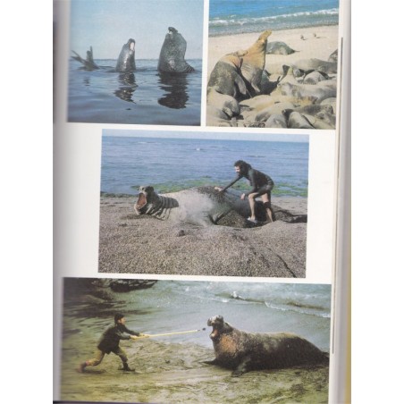 Vom Grizzlybär zur Brillenschlange, Bernhard Grzimek - Tiere, animaux sauvages, chasse,