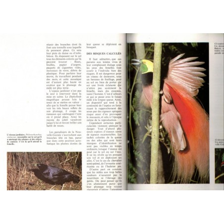 La symphonie animale, les noces, Philippe Diolé 1977 - sexualité des animaux, zoologie, animaux sauvages,