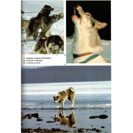 Dix chiens pour un rêve, François Varigas, Jean-François Chaigneau, 1984 - Grand Nord, Canada, chiens,