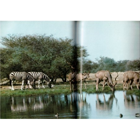 Grzimek unter Afrikas Tieren, Bernhard Grzimek  - Tiere, Mammifères, zoologie, animaux sauvages
