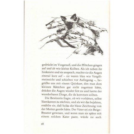 Die Katze mit den blauen Augen, Doreen Tovey, 1993 - Katzen, Tiere, chats, roman animalier