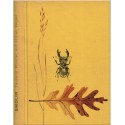 Tausend Wunder auf stillen Wegen, Hans-Wilhelm Smolik, 1963 - Natur,  dessins d'oiseaux, fleurs, oiseaux, flore, Tiere,