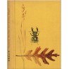 Tausend Wunder auf stillen Wegen, Hans-Wilhelm Smolik, 1963 - Natur,  dessins d'oiseaux, fleurs, oiseaux, flore, Tiere,