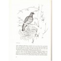 Tausend Wunder auf stillen Wegen, Hans-Wilhelm Smolik, 1963 - Natur,  dessins d'oiseaux, fleurs, oiseaux, flore, Tiere,