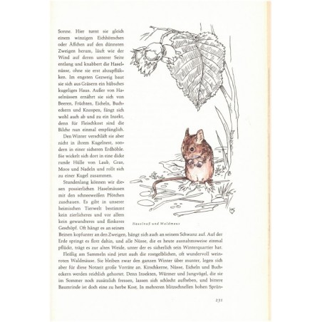 Tausend Wunder auf stillen Wegen, Hans-Wilhelm Smolik, 1963 - Natur,  dessins d'oiseaux, fleurs, oiseaux, flore, Tiere,