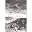 Joy et nos lions, George Adamson, 1987 - fauves, Afrique, animaux sauvages, , Kenya