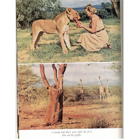 Born free a lioness of two worlds, Joy Adamson, 1960 - wild animals, fauves braconnage, chasse, réserve Kenya, animaux sauvages