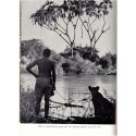 Born free a lioness of two worlds, Joy Adamson, 1960 - wild animals, fauves braconnage, chasse, réserve Kenya, animaux sauvages
