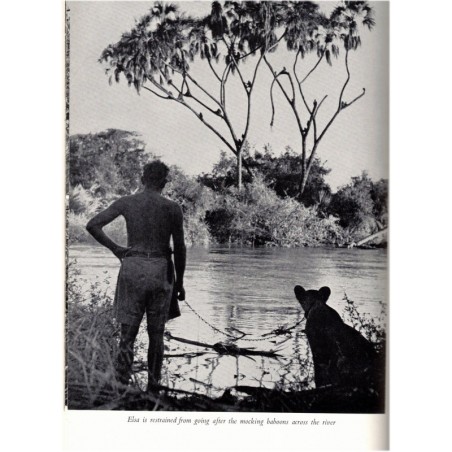Born free a lioness of two worlds, Joy Adamson, 1960 - wild animals, fauves braconnage, chasse, réserve Kenya, animaux sauvages