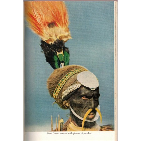 Leopard in my lap, Michaela Denis, 1955 - wild animals, animaux sauvages, safaris photos, ethnologie, tribus