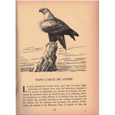 Le grand livre des bêtes dites sauvages, André Demaison, 1951 - animaux sauvages, nature africaine,