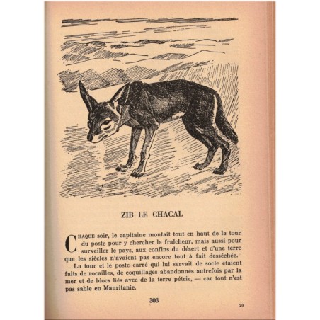 Le grand livre des bêtes dites sauvages, André Demaison, 1951 - animaux sauvages, nature africaine,