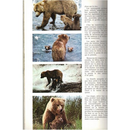 La symphonie animale, maternités, Philippe Diolé 1977 - sexualité des animaux, zoologie, animaux sauvages,