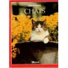 Chats, Atlas Nature, 1990 - beau livre chats, animaux domestiques