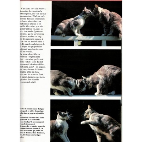 Chats, Atlas Nature, 1990 - beau livre chats, animaux domestiques