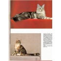Chats, Atlas Nature, 1990 - beau livre chats, animaux domestiques