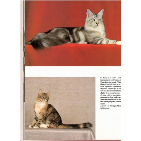 Chats, Atlas Nature, 1990 - beau livre chats, animaux domestiques