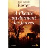 A l'heure où dorment les fauves, Jean-Baptiste Bester, 2009 - Afrique du Sud XIXe siècle, roman d'aventure