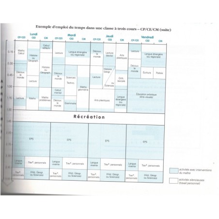 Programmes et pratiques pédagogiques pour l'école élémentaire, Norbert Babin, 2006 - pédagogie