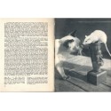La photographie des chats et des chatons, Philip Johnson, Photo-guide Prisma, 1950 - photographie argentique, appareils photo