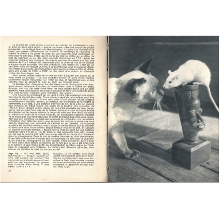 La photographie des chats et des chatons, Philip Johnson, Photo-guide Prisma, 1950 - photographie argentique, appareils photo