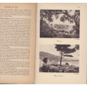 Les guides bleus illustrés 1931, Nice - Alpes-Maritimes,