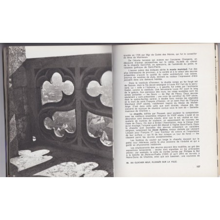 Chartres et sa cathédrale, 1967, Jean Villette