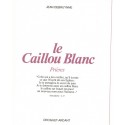 Le caillou blanc, prières, Jean Debruynne 1978 - prières, christianisme, prières profanes, prières bouddhistes,