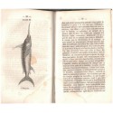 Reptiles, et poissons, Nouveau spectacle de la nature ou Dieu et ses œuvres, Victor Rendu, 1840 - zoologie, animaux marins,