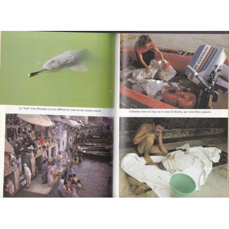 Ballade pour un dauphin sacré, François-Xavier Pelletier