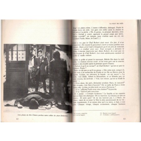 Chiens perdus sans collier, Gilbert Cesbron, 1985 - une œuvre un thème, l'enfance délinquante, manuels de littérature