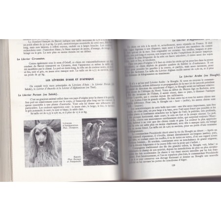 Le chien, encyclopédie canine, Larousse, 1969 - animaux familiers, chiens,