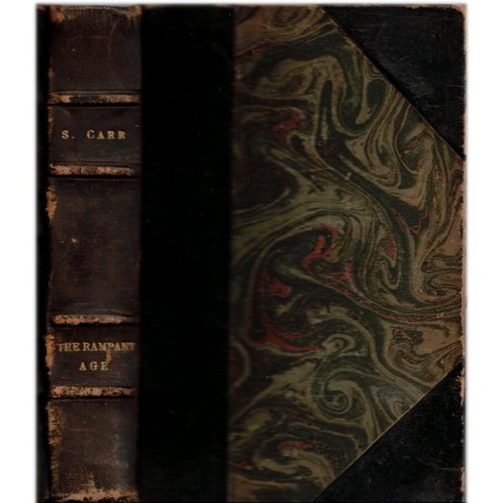 The rampant age, Robert Carr, 1928 - Jazz Age youth culture, jeunesse américaine 1920, belle reliure