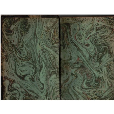 The rampant age, Robert Carr, 1928 - Jazz Age youth culture, jeunesse américaine 1920, belle reliure