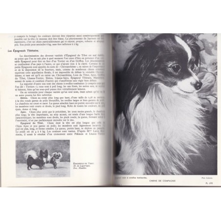 Le chien, encyclopédie canine, Larousse, 1969 - animaux familiers, chiens,