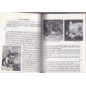 Le chien, encyclopédie canine, Larousse, 1969 - animaux familiers, chiens,