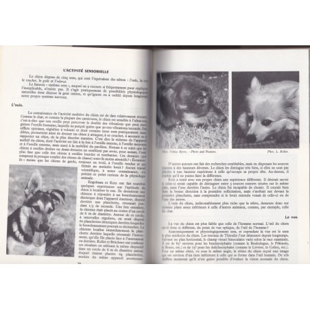 Le chien, encyclopédie canine, Larousse, 1969 - animaux familiers, chiens,
