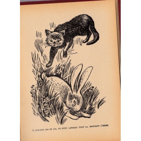 Mistigri, Lucien Vasseur, 1958 - littérature jeunesse, chats