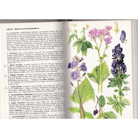 Pflanzen und Tierwelt der Alpen, Schauer, 1975 - plantes de montagne, fleurs, animaux de montagne, botanique, zoologie